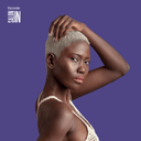Treatment Platinum Color Intensifier 8.45.fl.oz. - Salon In Recamier