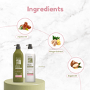 Green Forest | Shampoo + Conditioner Set 33.8 fl oz 33.8fl.oz - Salon In Recamier