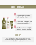 Green Forest 3-Piece Set: Shampoo + Conditioner 10.1 fl oz + Treatment 8.45 fl oz 10.1.fl.oz. - Salon In Recamier