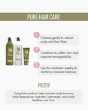 Green Forest 3-Piece Set: Shampoo + Conditioner 33.8 fl oz + Treatment 8.45 fl oz 33.8fl.oz - Salon In Recamier