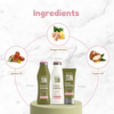 Green Forest 1 Shampoo + Conditioner Set 10.01 fl.oz + Treatment Set 10.1.fl.oz. - Salon In Recamier