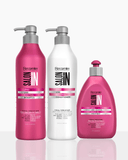 Liss Control 3-Piece Set: Shampoo + Conditioner 33.8 fl oz + Leave-On Treatment 10.1 fl oz | Frizz Control with Lychee Extract, Silk Protein & Keratin | Salt-Free 33.8.fl.oz - Salon In Recamier