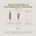 Green Forest 1 Shampoo + Conditioner Set 10.01 fl.oz + Treatment Set 10.1.fl.oz. - Salon In Recamier