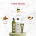 Green Forest | Shampoo + Conditioner 33.8fl.oz. + Treatment Set 33.8fl.oz - Salon In Recamier
