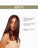 Green Forest Shampoo 10.1.fl.oz. - Salon In Recamier