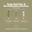 Green Forest | Shampoo + Conditioner 33.8fl.oz. + Treatment Set 33.8fl.oz - Salon In Recamier