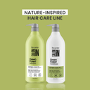 Green Forest 3-Piece Set: Shampoo + Conditioner 33.8 fl oz + Deep Treatment 10.5 oz - Salon In Recamier