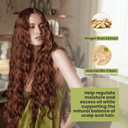 Green Forest 2-Piece Set: Shampoo + Conditioner 10.1 fl oz each - Imagen Nueva - Salon In Recamier
