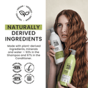 Green Forest 2-Piece Set: Shampoo + Conditioner 33.8 fl oz each - Imagen Nueva - Salon In Recamier