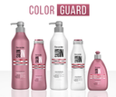 Color Guard